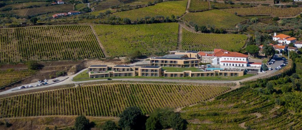 Douro Scala